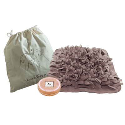 Snuffle Mat Set for Dogs - Soft Duck
