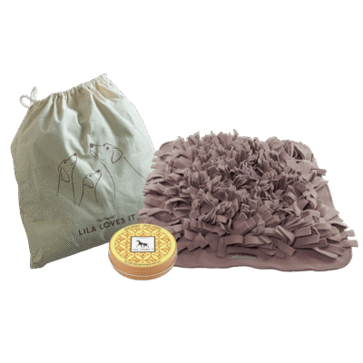 Snuffle Mat Set for Dogs - Cheese