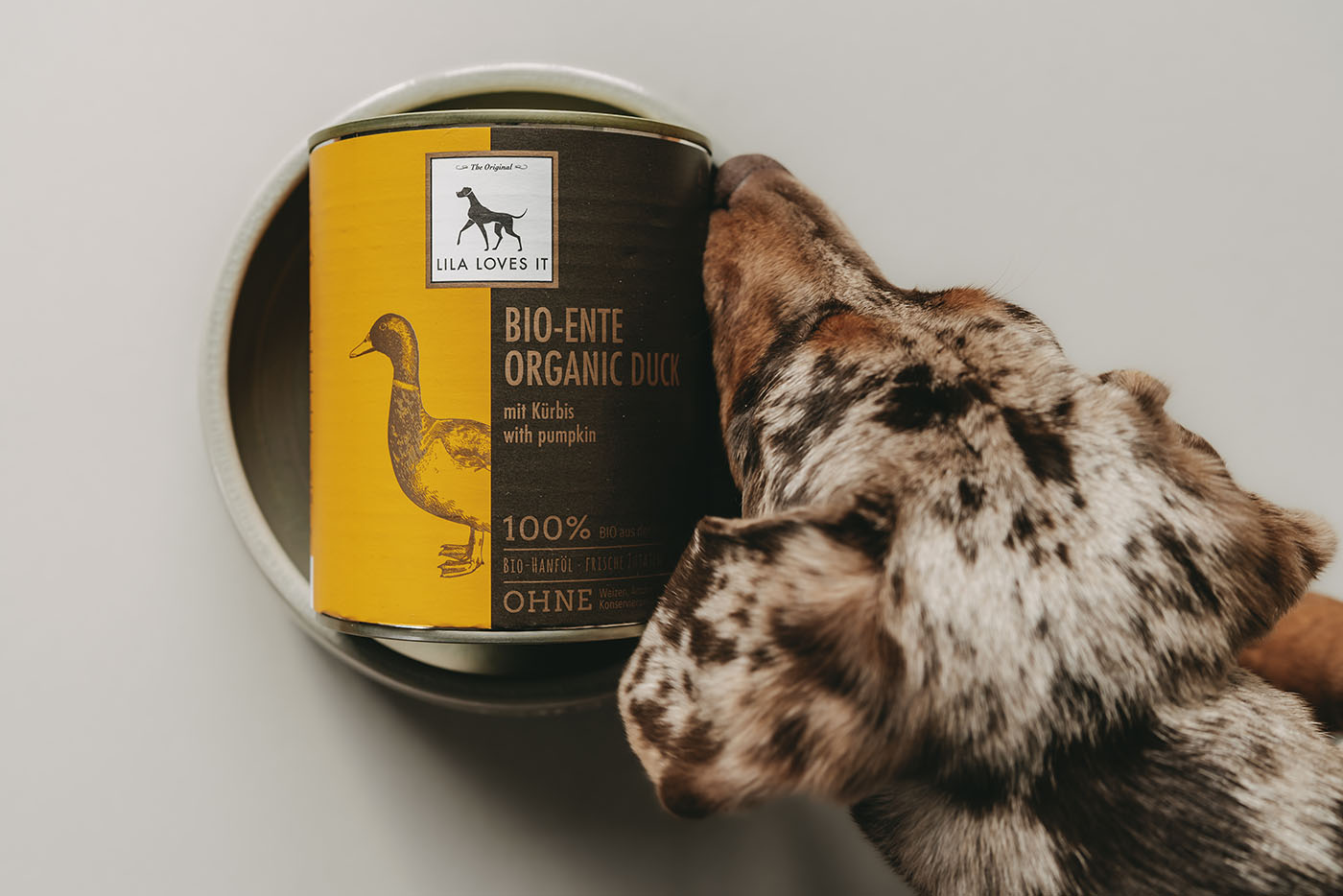 Große Dose Nassfutter für Hunde aus Entenfleisch demonstrativ in Futternapf platziert mit einem neugierigem Hund der daran schnüffelt vor einem beigen Hintergrund | LILA LOVES IT "Nassfutter aus Bio-Ente"